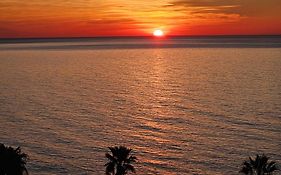 Aloha Beach Vibe