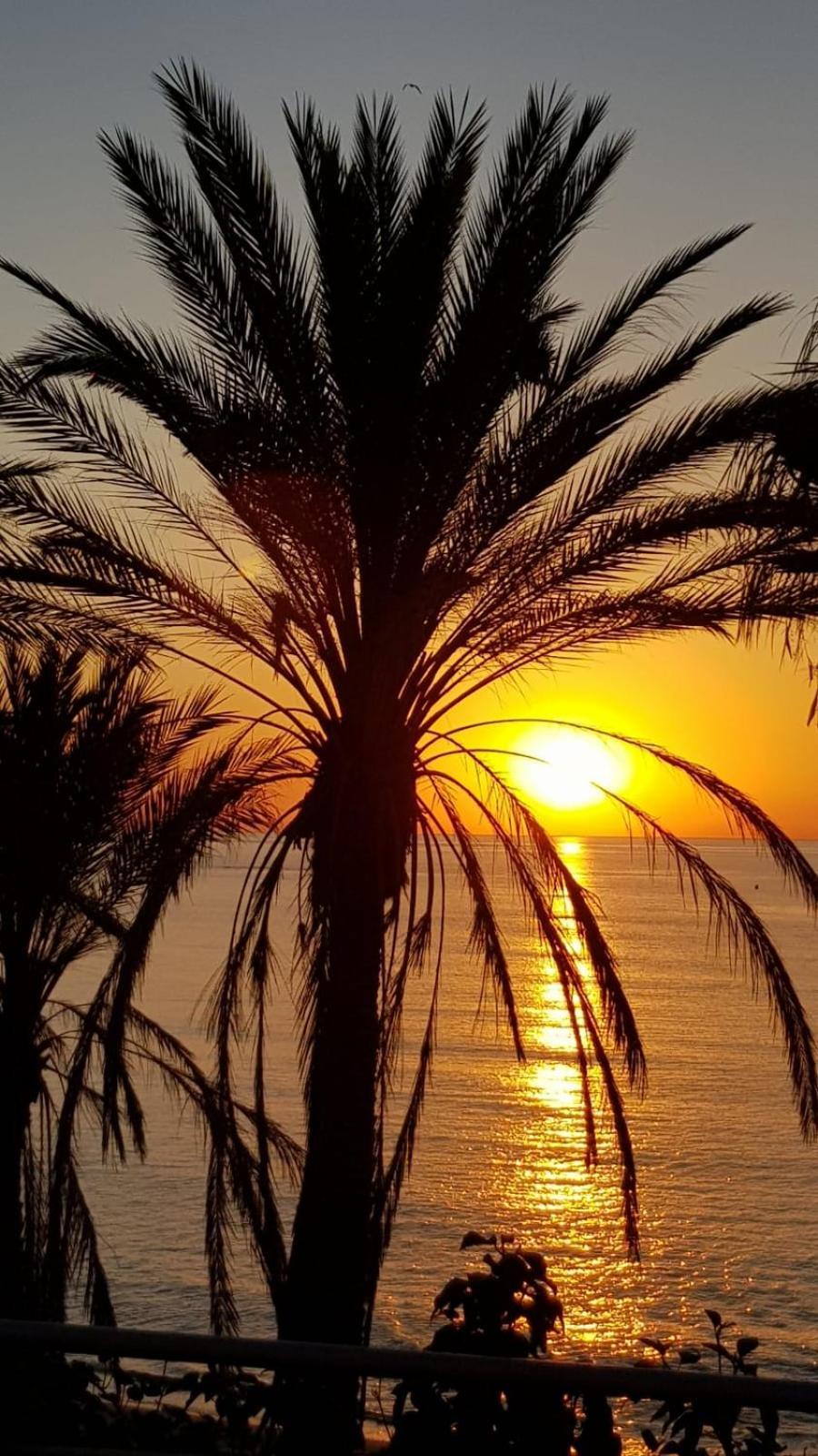Aloha Beach Vibe Benalmádena Zewnętrze zdjęcie